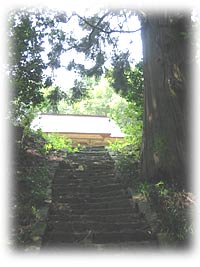 神社が見えた・・・