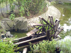 LOق̐